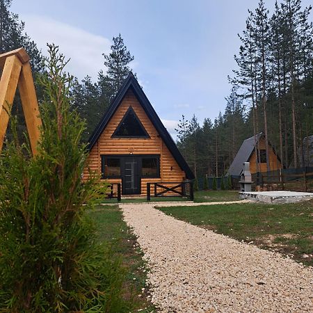 Pine Forest-Black Žabljak 外观 照片